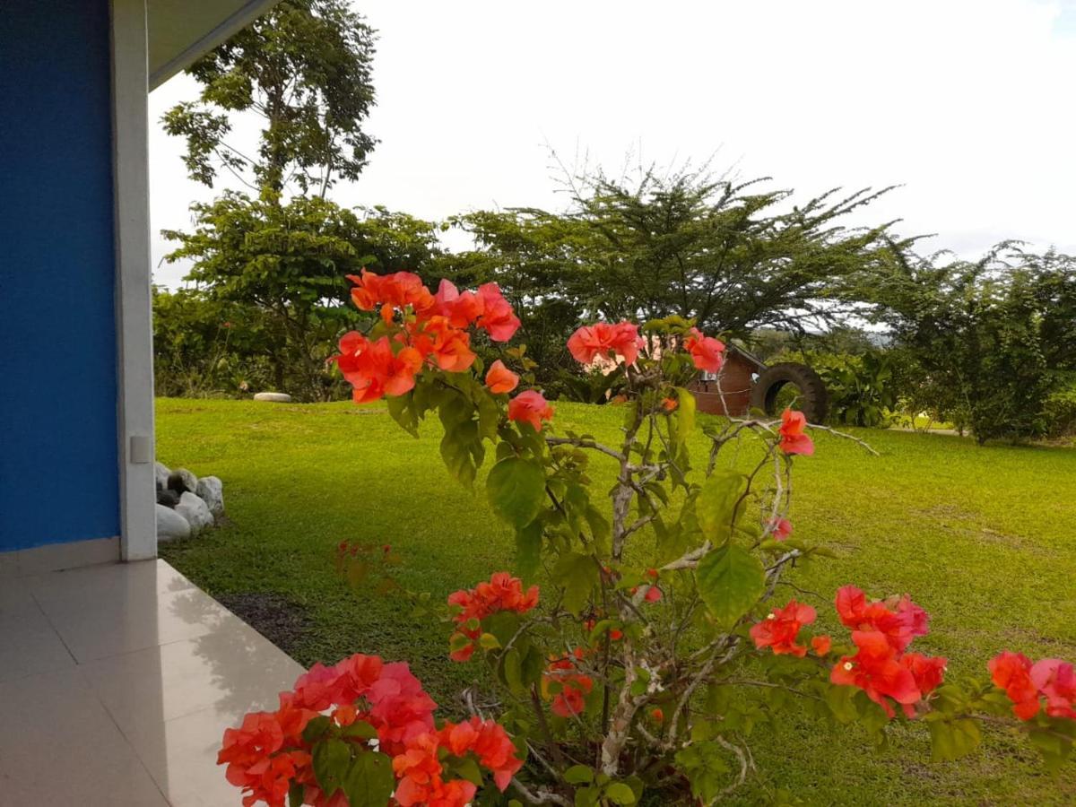 Casa De Campo Heliconia La Fortuna ภายนอก รูปภาพ
